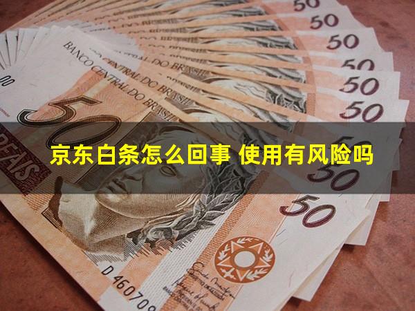 京东白条怎么回事 使用有风险吗